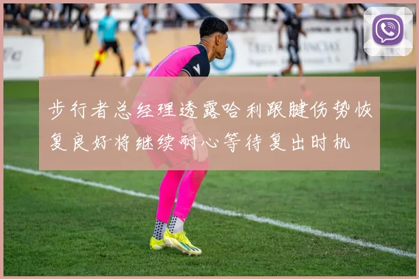 步行者总经理透露哈利跟腱伤势恢复良好将继续耐心等待复出时机