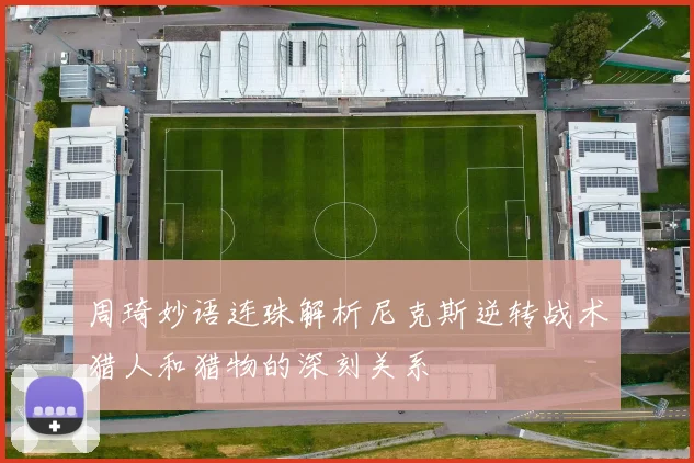 周琦妙语连珠解析尼克斯逆转战术猎人和猎物的深刻关系