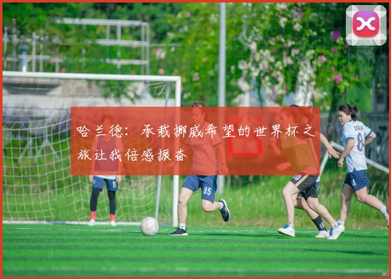哈兰德：承载挪威希望的世界杯之旅让我倍感振奋